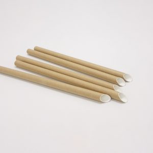 Paper Straws