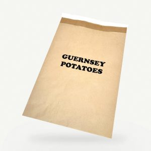 Food Delivery Bags