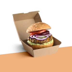 Biodegradable burger boxes bulk